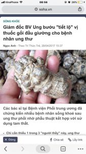 tam thất bắc và ung thư