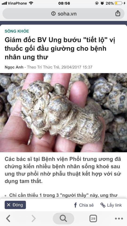 tam thất bắc và ung thư