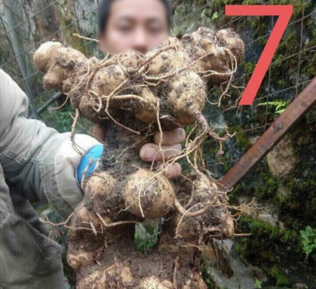 sam-7-8-nam-bi-kich-thich