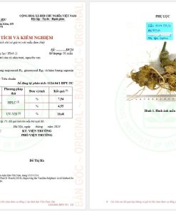 kiểm định sâm lai châu