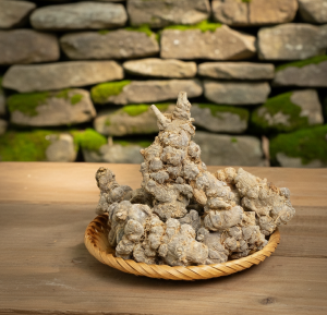 tam thất bắc khô