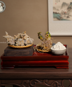 bột tam thất bắc